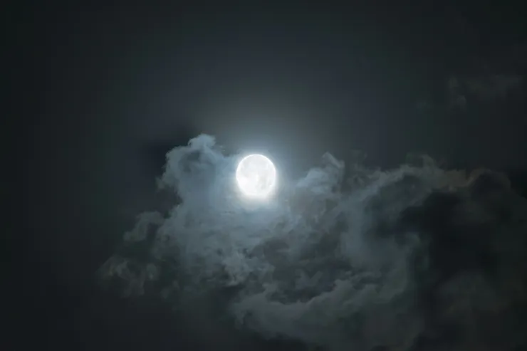 Photo by Ahmad Pishnamazi on Unsplash