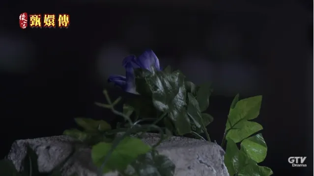 取自《後宮甄嬛傳》