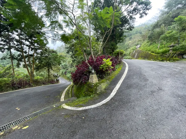 偌大的山巒   盡情的奔跑