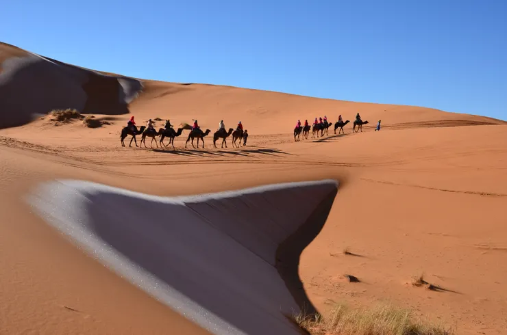 沙漠還殘留冰霜