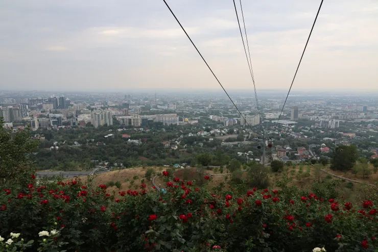 我拿著明信片，一一尋找明信片上的地標位在城市何處。