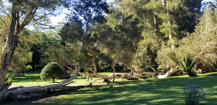 我是進入了歐洲國度嗎？