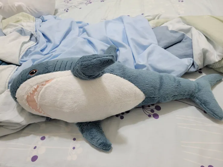 鯊鯊們表示：我只花主人約100初台幣就能獨自升級了🤣🤣🤣（梗來自於韓國一部動漫）