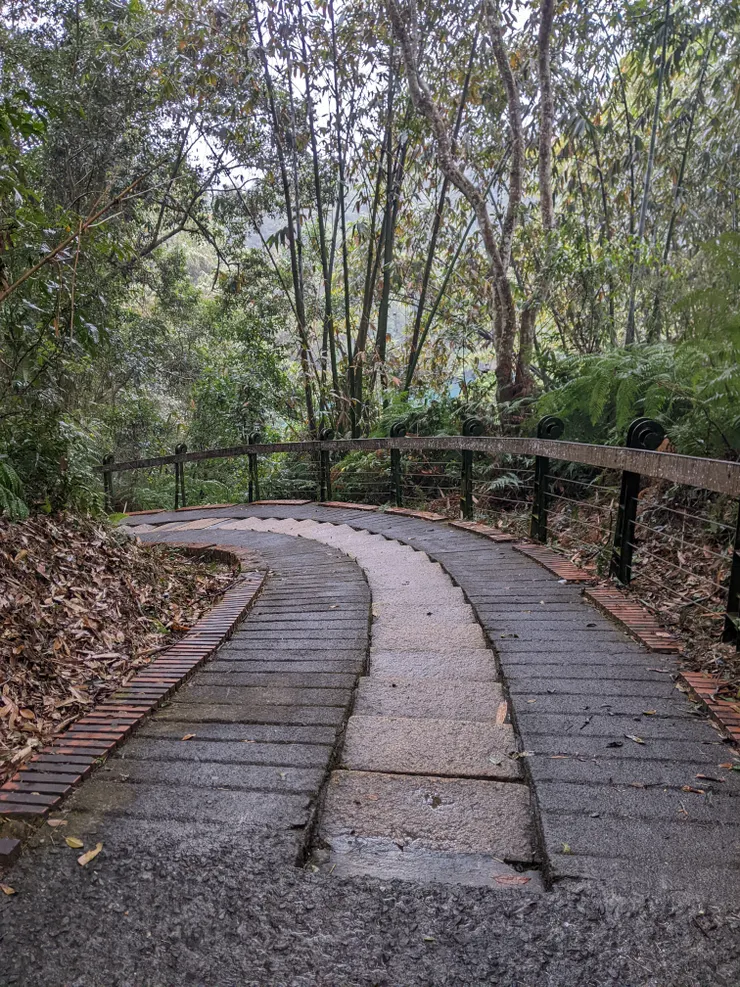 這個牽引道如果反向真的是重量訓練