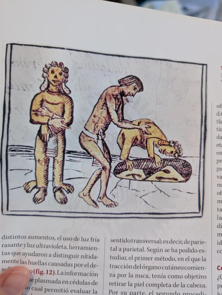 把使用完的皮集中埋葬