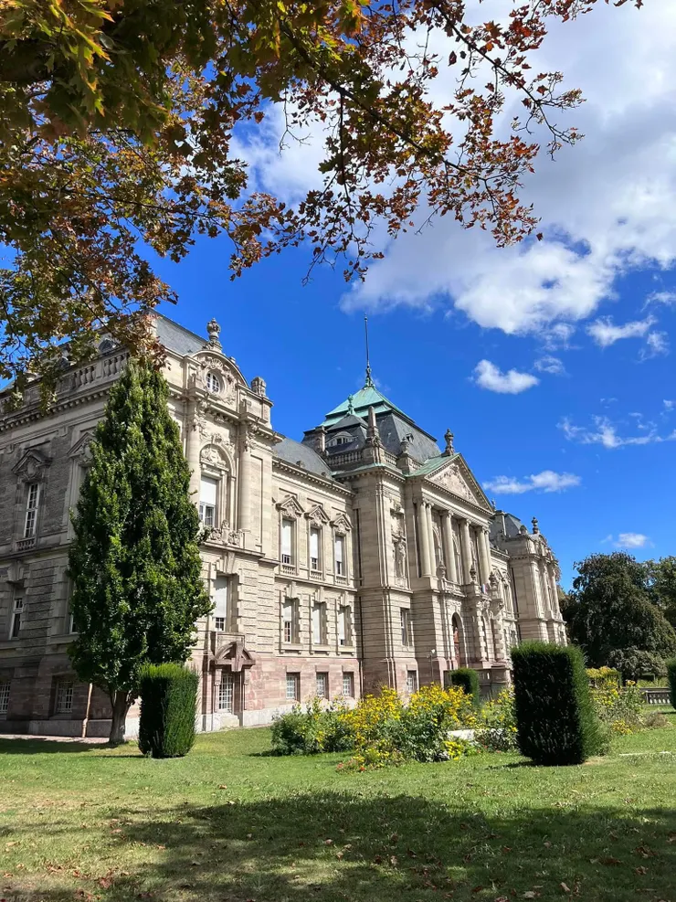 一直拍，一直拍不停