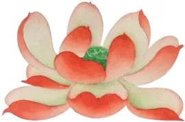 專心持念「阿彌陀佛」萬德洪名，期生淨土