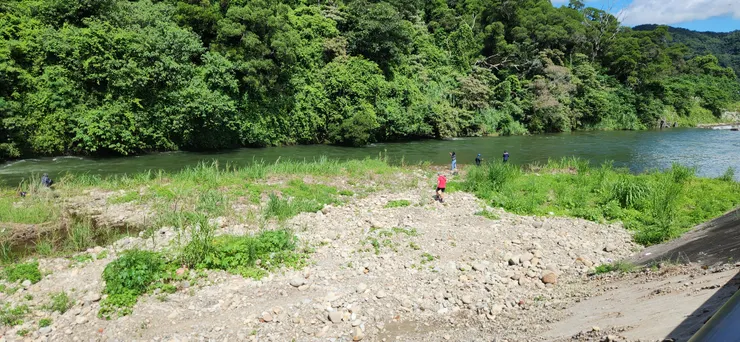 回程看到有人也在釣魚。