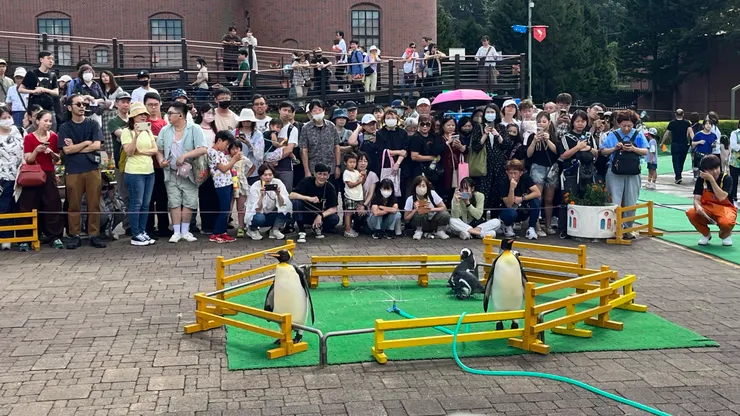 基本上看完海獅，就要很快來卡位了。