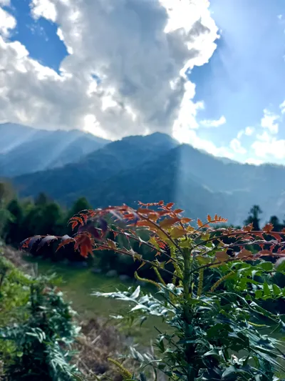 2026年的新目標之一