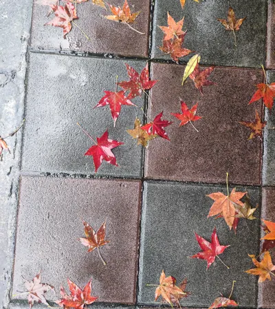 獨角獸的嘀嘀咕咕