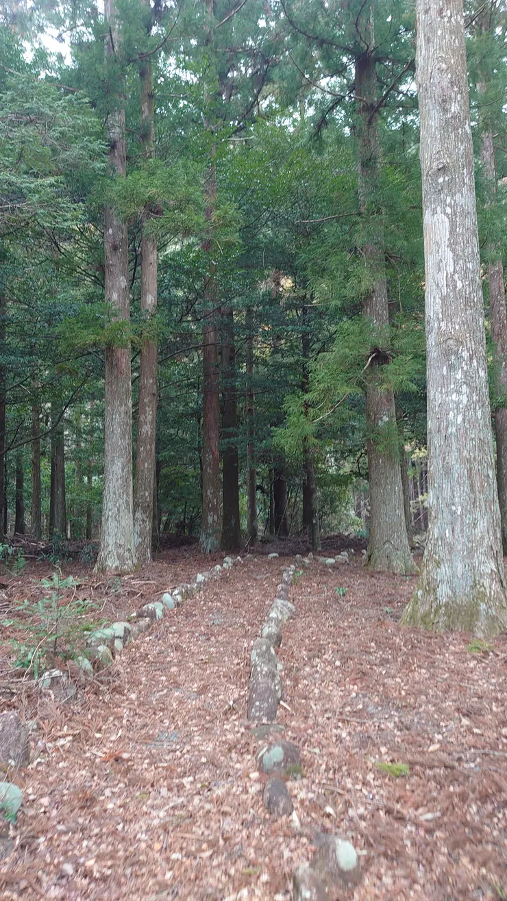 照片上可見的盡頭就是垂直在兩米下方的溪谷。