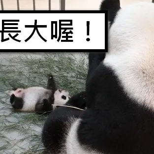 投資大王的沙龍