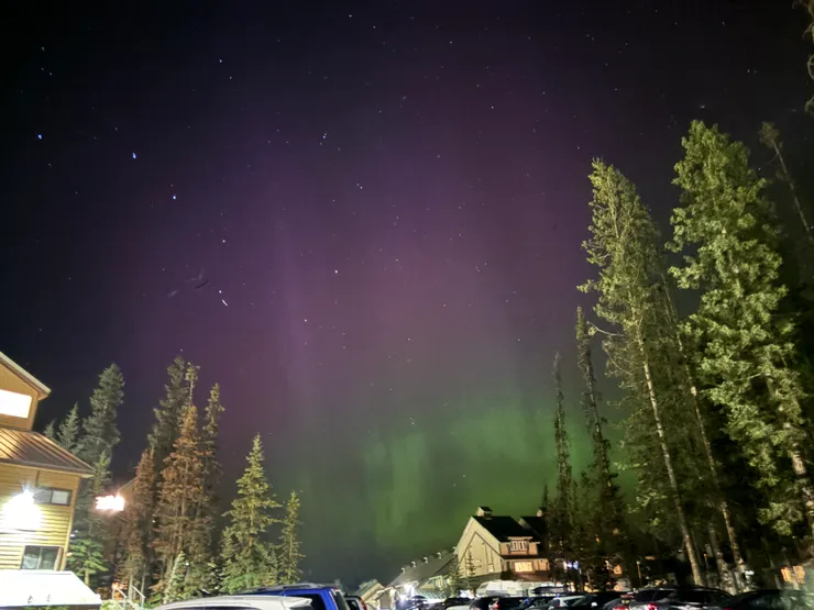 為什麼想回加拿大?