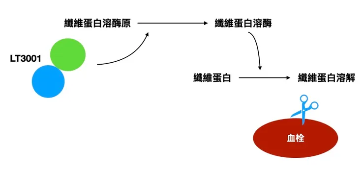 LT3001凝血功能的角色（示意圖，非實際機轉）