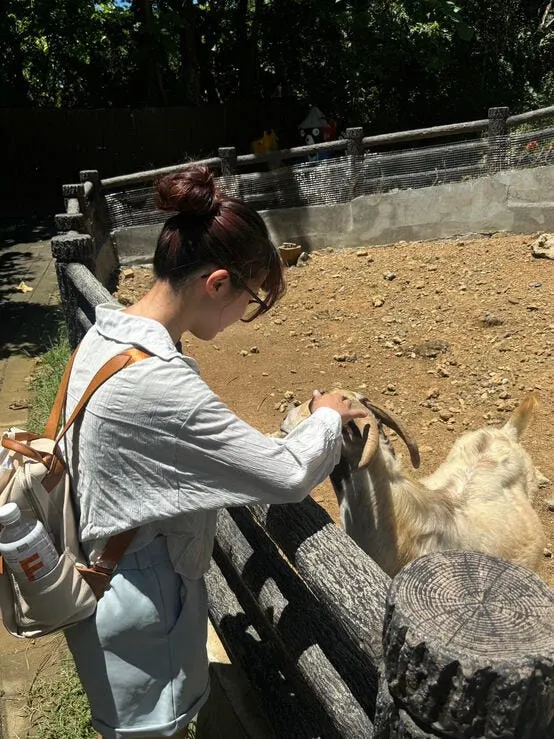 附上實習出差觀摩活動預告片拍攝時跟羊玩的照片做結尾