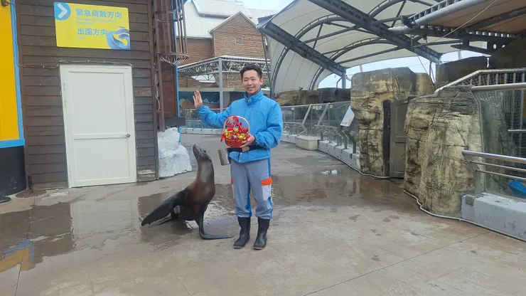 遠雄海洋公園 春節限定活動-海獅發紅包