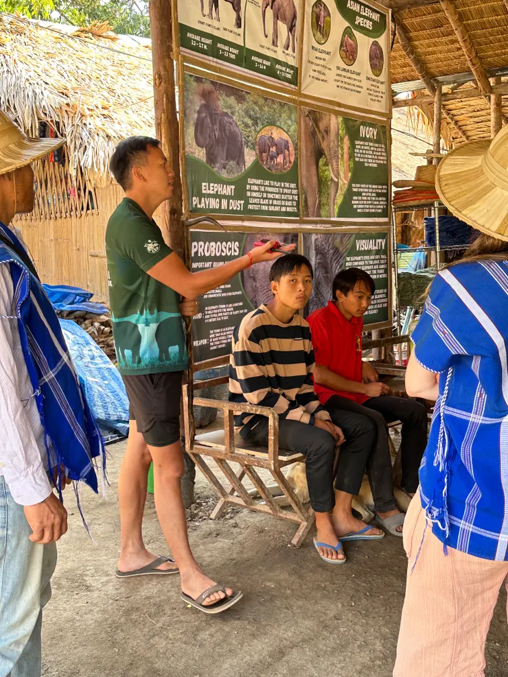 旁邊兩個男生坐的地方，就是以前架在大象背上的椅子