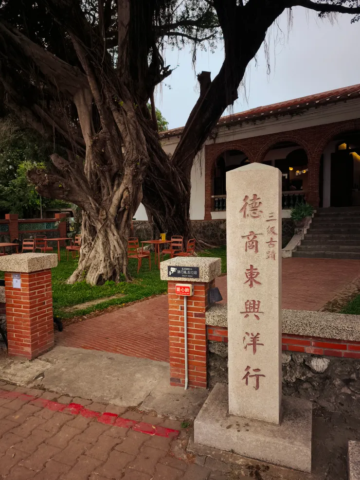 洋行內的樹木看起來超有年代❤️