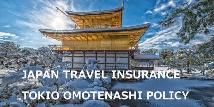 圖／東京海上日動官網