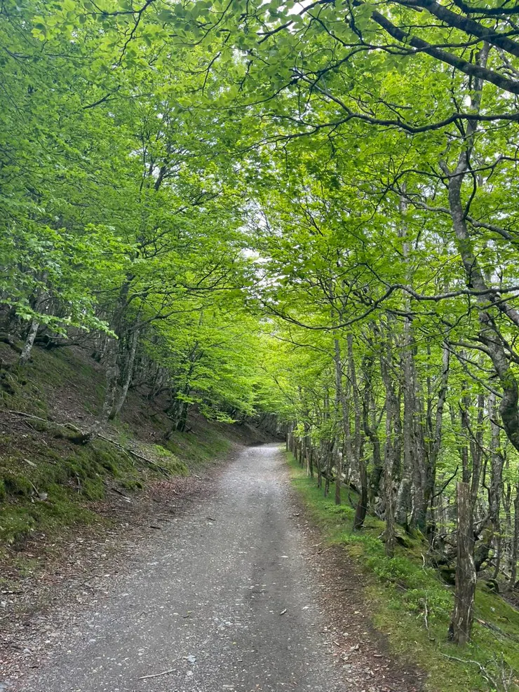 一路泥巴路往下，越走越泥巴，笑不出來了