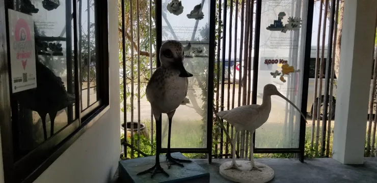 巨型勺嘴鷸擺設