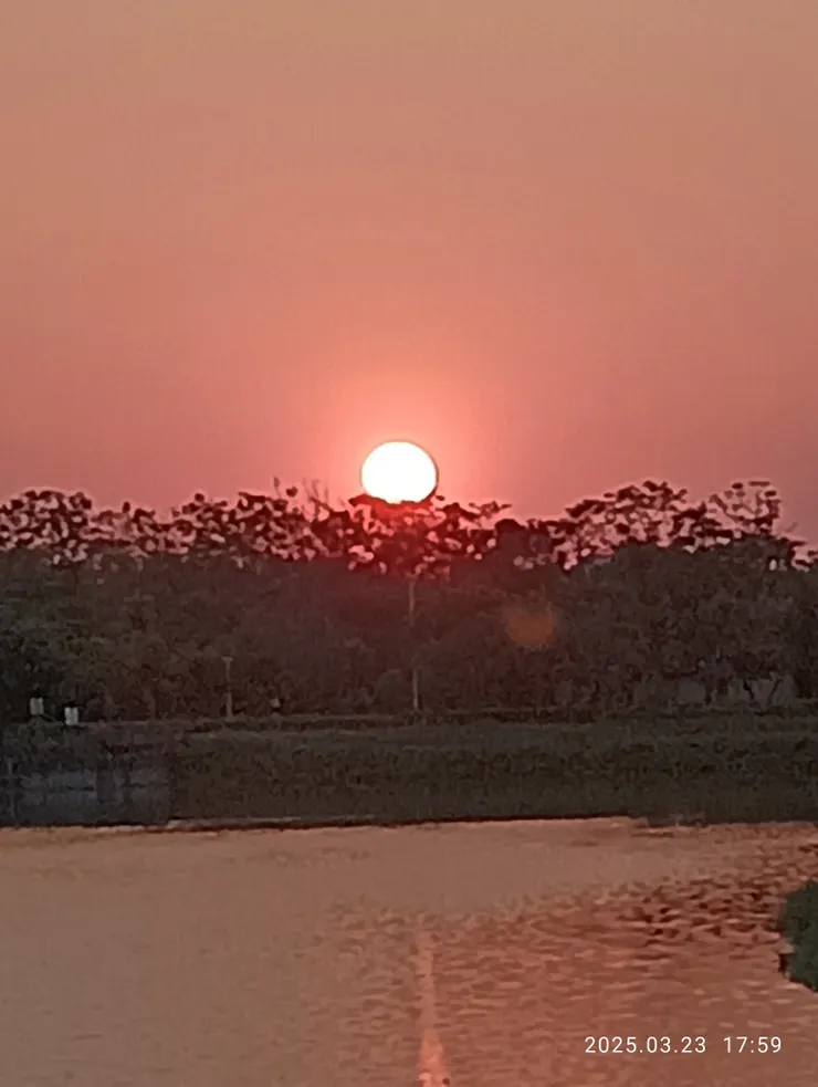 南國空晚斜暉映，自拍攝