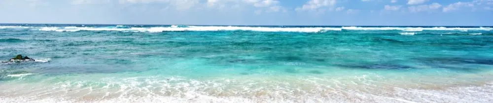 雪雪的婚姻大小事的沙龍