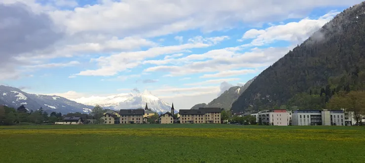 火車到平地又回到春天...冬春兩景在這兩小時車程處處驚喜
