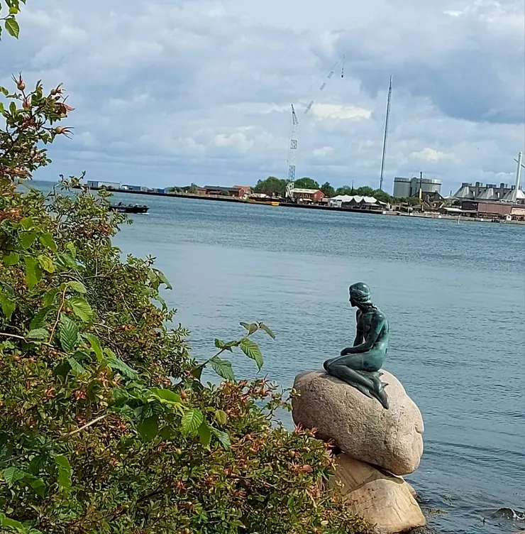 我於此傳達美男魚的款款深情