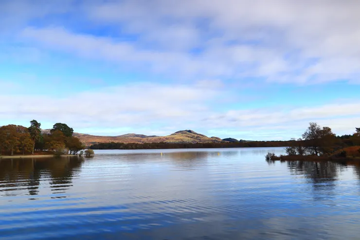 總是在追逐水,是為什麼呢。