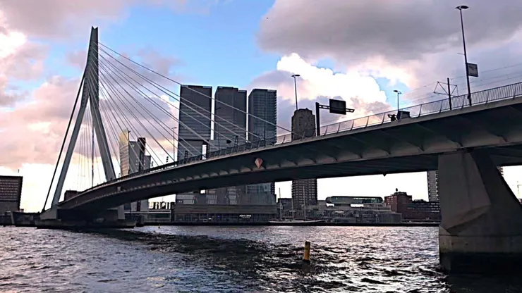 天鵝橋與後面的De Rotterdam大樓