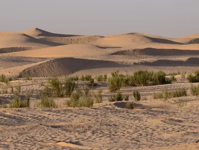 撒哈拉：吃沙的日子