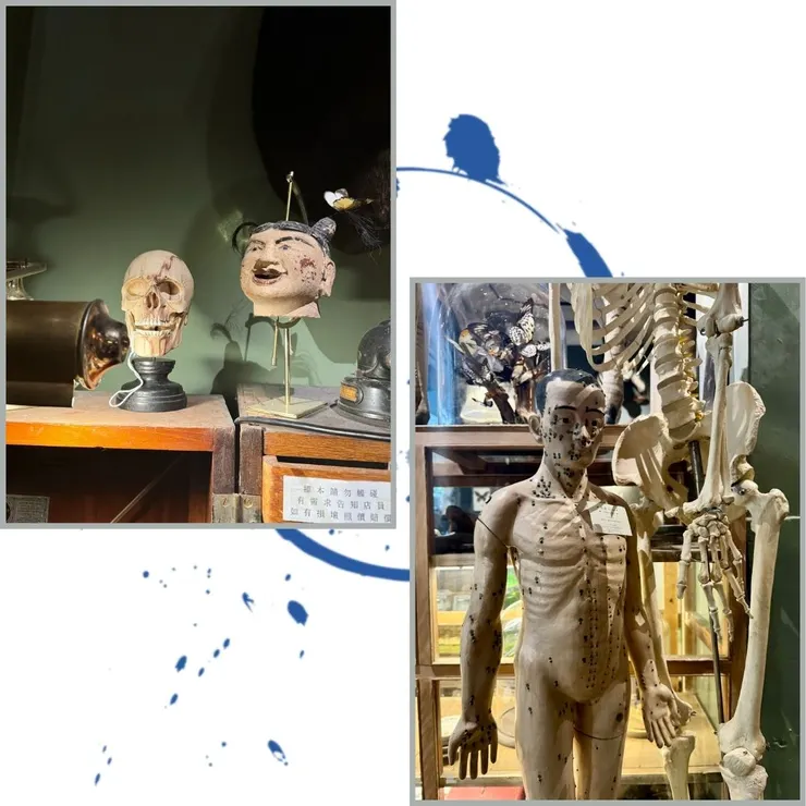 好像中醫的針灸假人