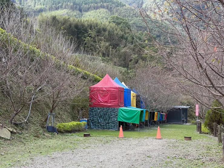 不想搭帳篷的選擇。