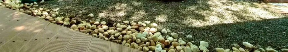 【輕輕吹，蒲公英飛】《快樂的孩子，分享快樂》的沙龍