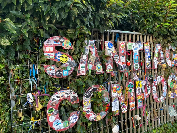 雖然當時把貼紙貼上去，後來看別人的照片好像已經飛走了