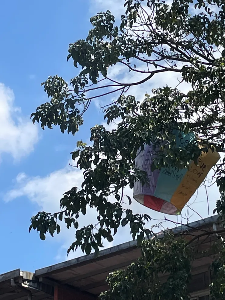 誰的天燈卡在樹上了？ 真的很擔心會著火