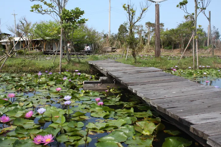 通宵.石蓮園石蓮園