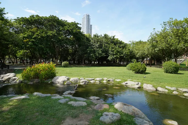中央公園蛻變後水與綠交織的風景（©陳坤毅）
