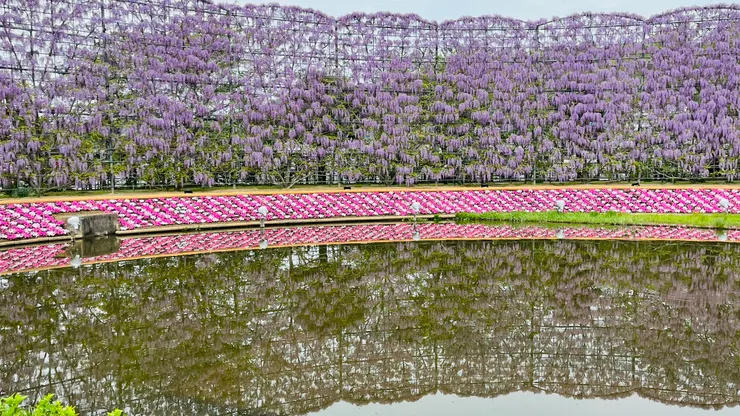 要有這樣的照片,難度並不高。