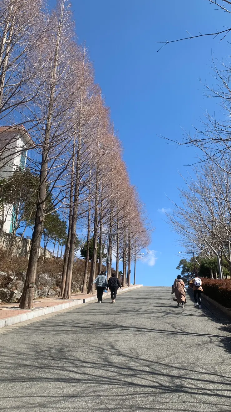 往上過程有2排樹，走過去的路上不顯無聊。