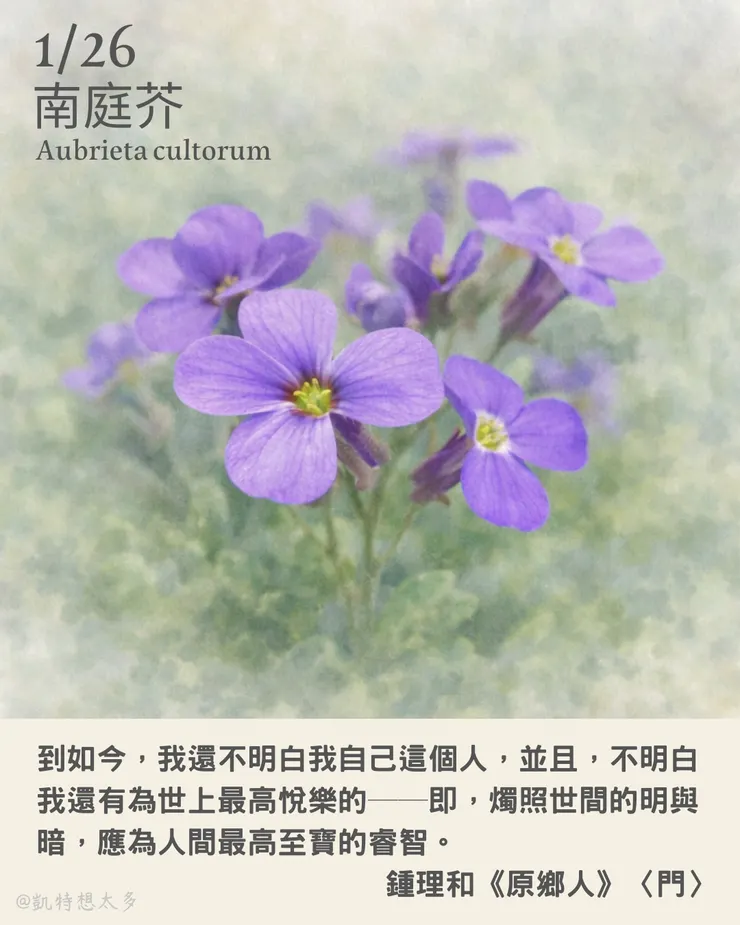 《一日一花・一句》｜1 月 26 日｜南庭芥×鍾理和《原鄉人》〈門〉