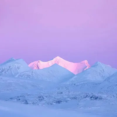 avatar-avatar