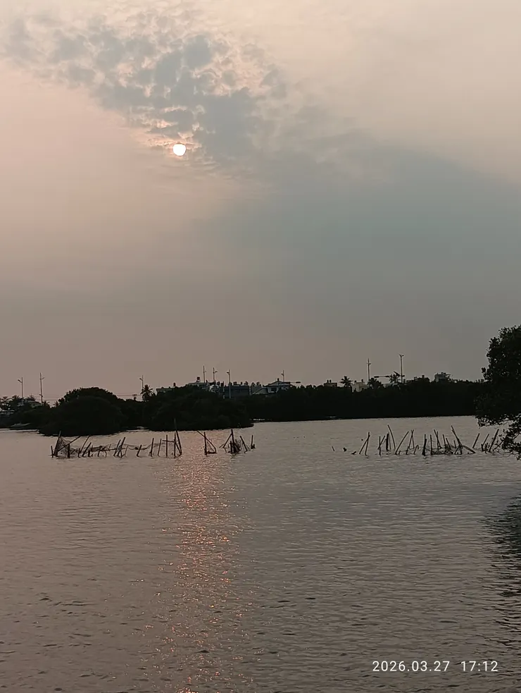 夕日臨風倍惆悵