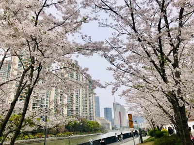 下班路上的小確幸，治癒一整天的疲憊