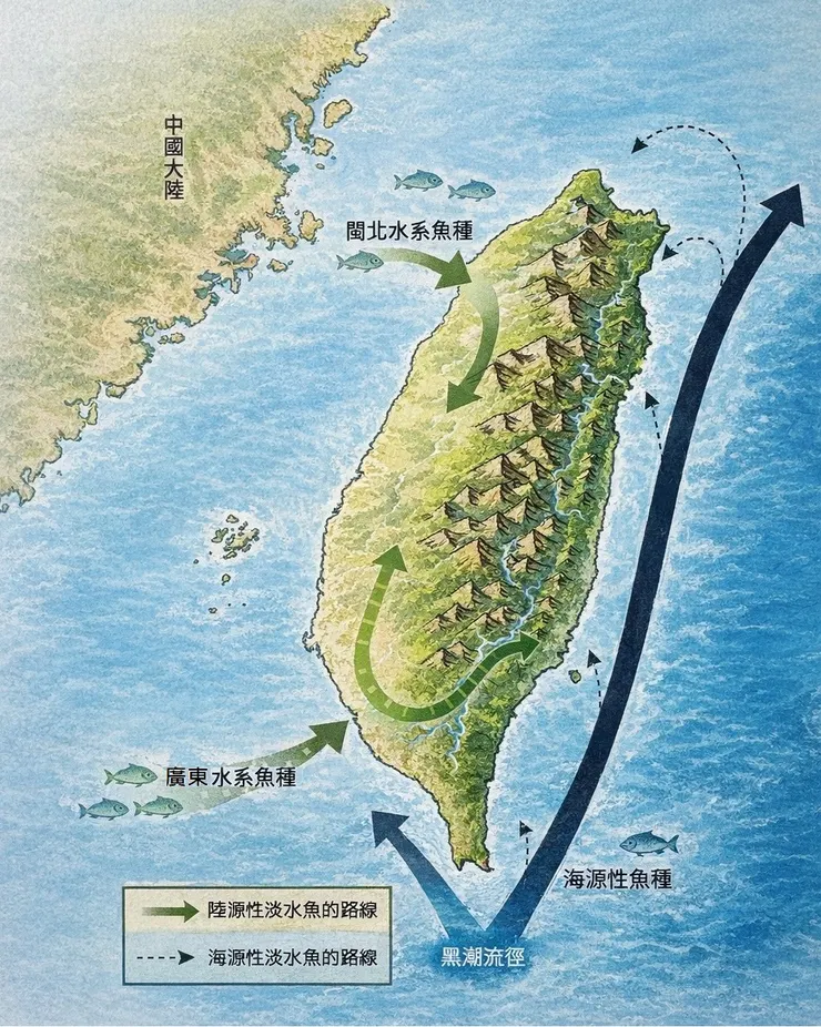 台灣溪流魚類來處(圖改自書中)