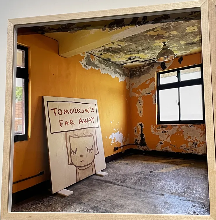 奈良美智攝影作品