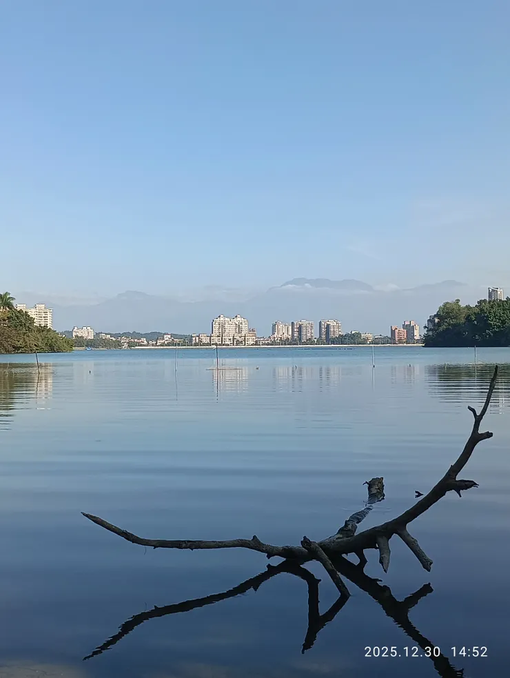 水平天遠獨自看