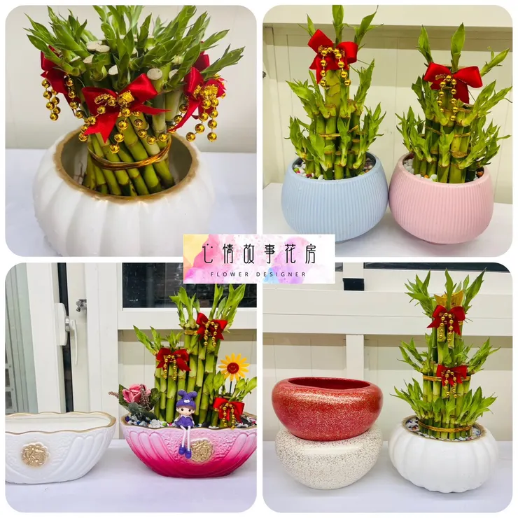 心情故事花房 盆栽 開運竹 花藝商品 綠植擺設 居家佈置 商務送禮 開業賀禮 搬遷禮品 精緻盆栽 桌面綠植 開運好物 幸運象徵 花藝設計 綠意生活 禮品推薦 多樣品項 預算靈活 客製化服務 綠植專家